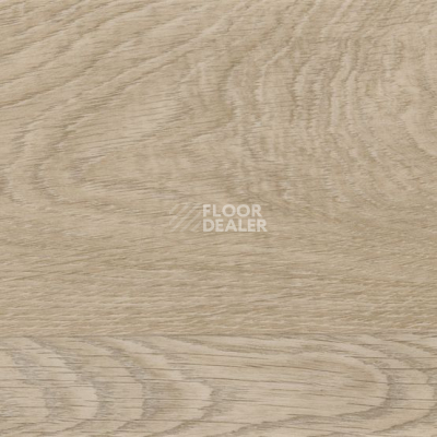 Линолеум Taralay Initial Compact (wood) 0828 Habana Beige фото 1 | FLOORDEALER