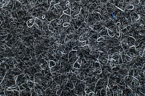 Ковровая плитка Forte в плитке 96019 t Jet фото 1 | FLOORDEALER