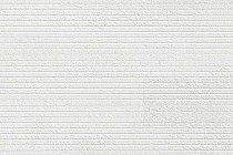 Пробковое покрытие Corkstyle Especial Wall настенное DAKOTA фото 1 | FLOORDEALER