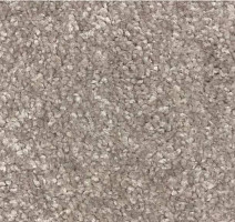 Ковролин SAG San-Marino 4209 фото 1 | FLOORDEALER