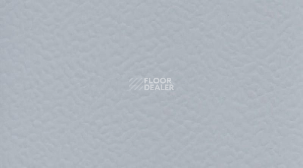 Линолеум Recreation 60 Uni 2711_Gris фото 1 | FLOORDEALER