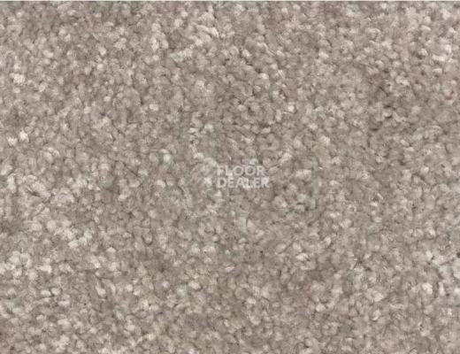 Ковролин SAG San-Marino 4209 фото 1 | FLOORDEALER