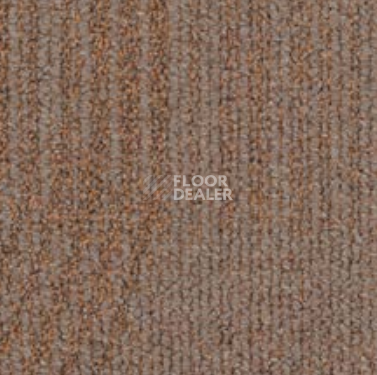 Ковровая плитка Desso AirMaster Reflection ac 58 2934 фото 1 | FLOORDEALER