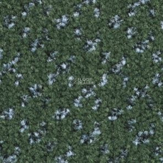 Balsan Lounge Lounge 280 фото 1 | FLOORDEALER