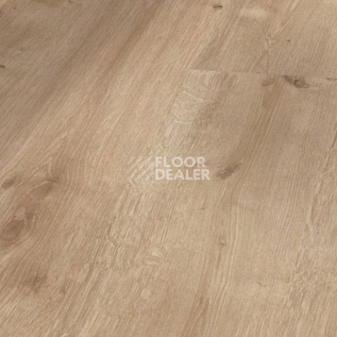 Ламинат Parador Basic Plus 200 V 1593997 Дуб Шлифованный фото 1 | FLOORDEALER