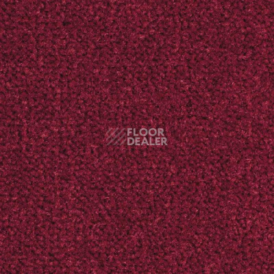 Ковролин Balsan Les Best 585 фото 1 | FLOORDEALER
