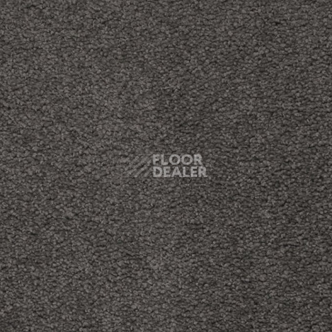 Ковролин Balta ITC Preciosa 196 фото 1 | FLOORDEALER
