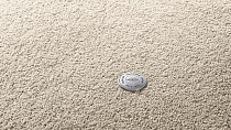 Ковролин Vorwerk Superior 1065/Viola Vorwerk 8k03 фото 1 | FLOORDEALER