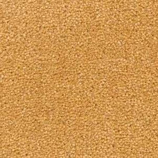 Ковролин Radici Montecarlo 18 фото 1 | FLOORDEALER