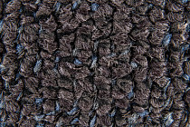 Desso AirMaster Reflection ac 58 9531 фото 5 | FLOORDEALER