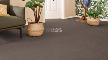 Vorwerk Superior 1071 Vorwerk 5y29 фото 2 | FLOORDEALER