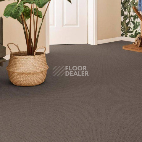 Vorwerk Superior 1071 Vorwerk 5y29 фото 2 | FLOORDEALER