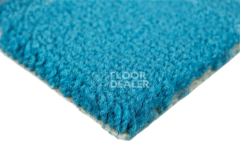 Balsan Les Best S 170 фото 3 | FLOORDEALER
