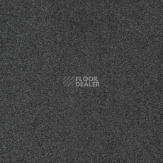 Ковролин Gleam W2W 994 Gleam w2w фото 1 | FLOORDEALER