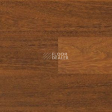 Линолеум Polyflor Expona Wood 6104 фото 1 | FLOORDEALER