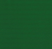 Линолеум GraboSport Supreme 67 7539_273 фото 1 | FLOORDEALER