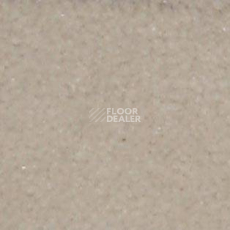 Ковролин Shaw all That Jazz 21101 фото 1 | FLOORDEALER