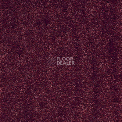Ковролин AW Masquerade Fedone 10 фото 1 | FLOORDEALER