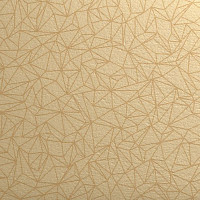 Линолеум Taralay Initial Compact (Plain & allover look) 0954 Spider Dore фото 1 | FLOORDEALER