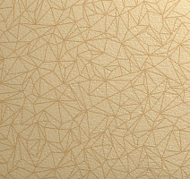 Линолеум Taralay Initial Compact (Plain & allover look) 0954 Spider Dore фото 1 | FLOORDEALER