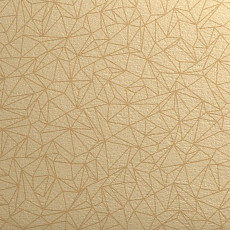 Линолеум Taralay Initial Compact (Plain & allover look) 0954 Spider Dore фото 1 | FLOORDEALER