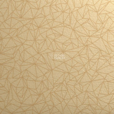 Taralay Initial Compact (Plain & allover look) 0954 Spider Dore фото 1 | FLOORDEALER