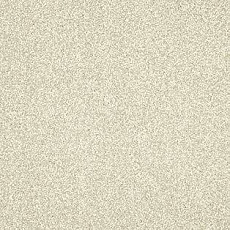 Ковролин AW Miracle 30 фото 1 | FLOORDEALER