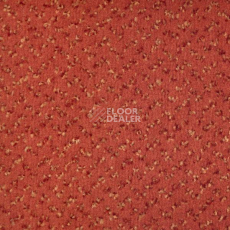 Ковролин Vorwerk Allegro 1b33 фото 1 | FLOORDEALER