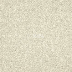 Ковролин AW Miracle 30 фото 1 | FLOORDEALER