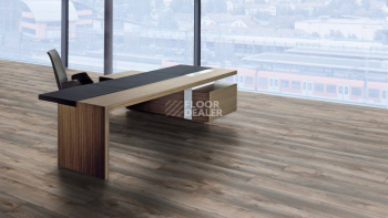 Kronotex Mammut Plus d4792 Дуб Серый Макро фото 10 | FLOORDEALER