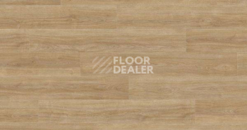 Ламинат Haro Tritty 200 Aqua Gran Via 4V ДУБ ЭЛЕГАНЗА ПУРО 541583 фото 1 | FLOORDEALER