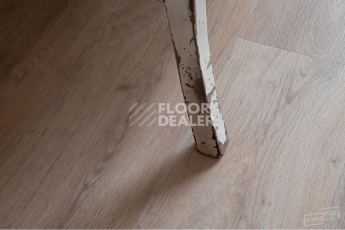 Vinilpol Glue 2мм 8844 EIR ДУБ МИРА фото 7 | FLOORDEALER