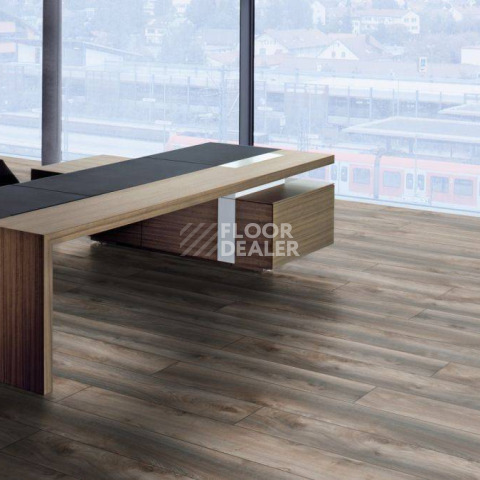 Kronotex Mammut Plus d4792 Дуб Серый Макро фото 10 | FLOORDEALER