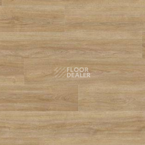 Ламинат Haro Tritty 200 Aqua Gran Via 4V ДУБ ЭЛЕГАНЗА ПУРО 541583 фото 1 | FLOORDEALER