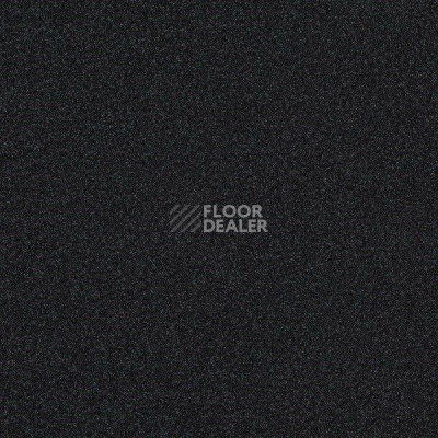 Ковровая плитка Interface Polichrome 7558 Obsidian фото 1 | FLOORDEALER