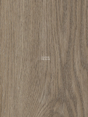 Primus Plank Sherwood Oak Mink фото 1 | FLOORDEALER