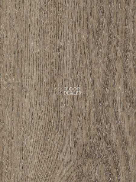 Кварцвиниловые полы Primus Plank Sherwood Oak Mink фото 1 | FLOORDEALER