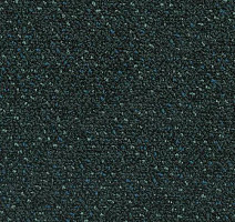 Ковровая плитка Desso Capella Desso Capella 9985 фото 1 | FLOORDEALER