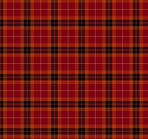 Ковролин Agnella Impulse Tartan Red фото 1 | FLOORDEALER