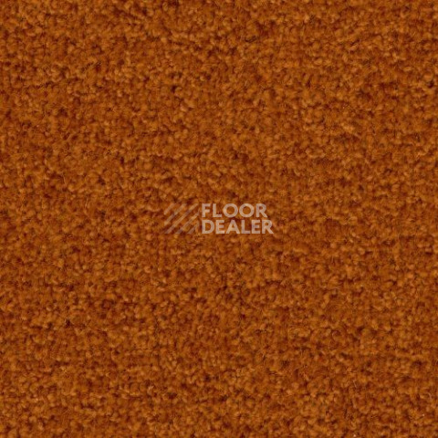Ковролин Creatuft Ceres 3333 фото 1 | FLOORDEALER