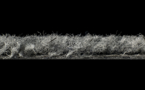 Forbo Coral Classic 4751 Silver Grey фото 3 | FLOORDEALER