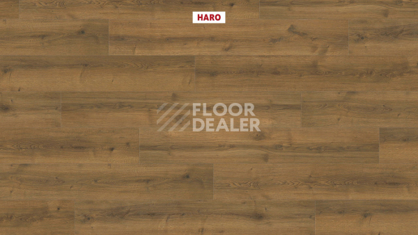 Ламинат Haro Tritty 90 Дуб Бари Натур 544681 фото 2 | FLOORDEALER