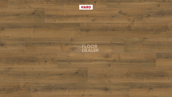 Haro Tritty 90 Дуб Бари Натур 544681 фото 2 | FLOORDEALER