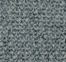 Ковролин Carpet Concept Eco Cut 54555 фото 1 | FLOORDEALER