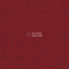 Ковровая плитка Balance LN50 555 фото 1 | FLOORDEALER