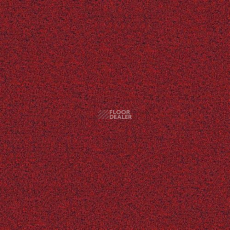 Balance LN50 555 фото 1 | FLOORDEALER