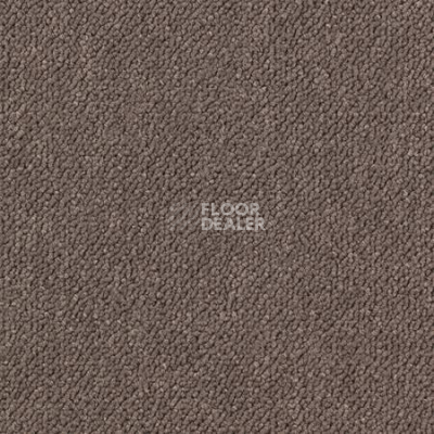 Ковролин Desso Essence-Brlm 9094 фото 1 | FLOORDEALER