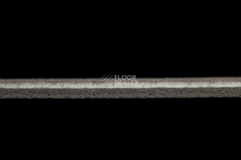 Toronto 1757 230 фото 3 | FLOORDEALER