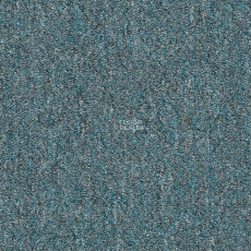 Shaw Momentum 02413 фото 1 | FLOORDEALER