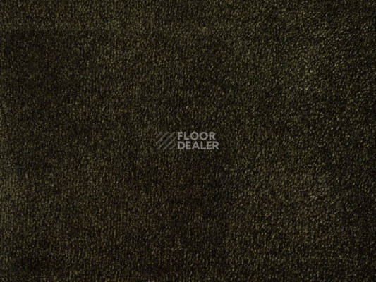 Ковролин ITC Natural Luxury Flooring Chamonix Chamonix 190522 Emerald фото 1 | FLOORDEALER